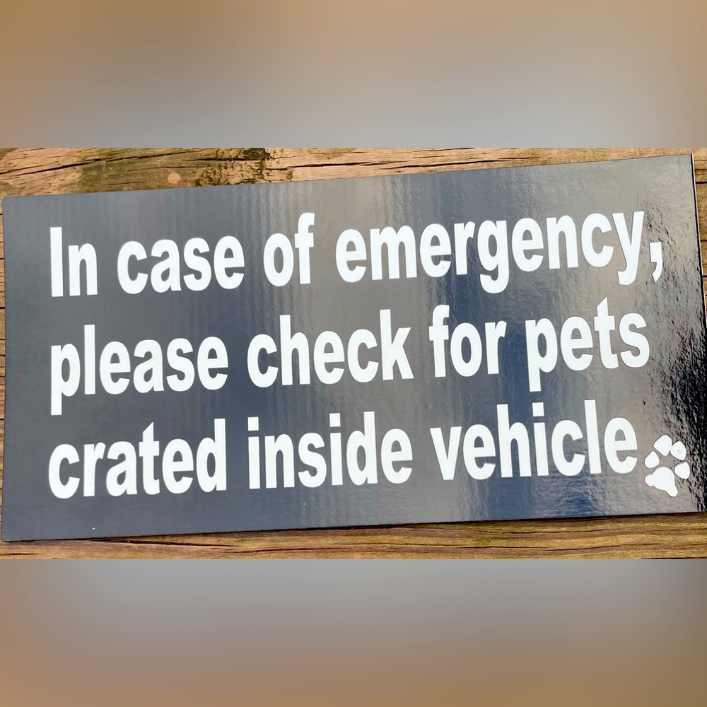 Check for Pets Car Magnet